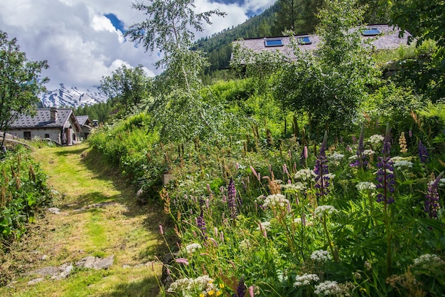 paisaje de los alpes franceses