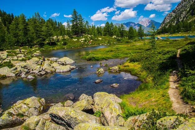 Foto paisaje de los alpes en italia en verano