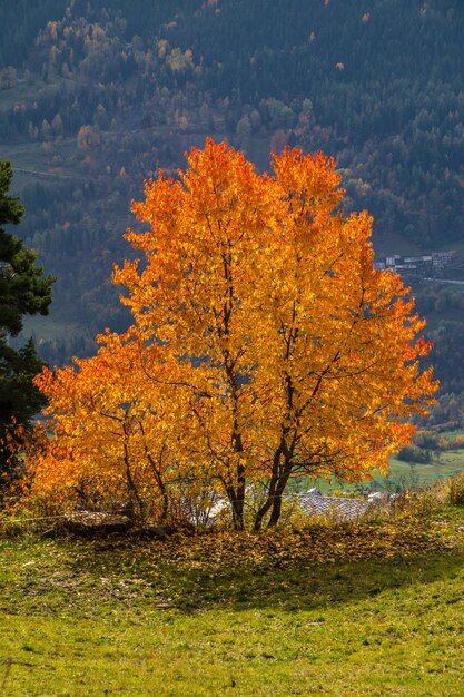 Paisaje de los Alpes italianos en otoño