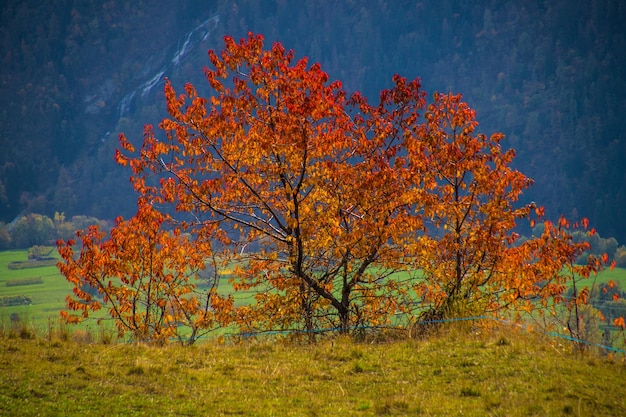 Paisaje de los Alpes italianos en otoño