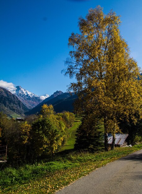 Paisaje de los Alpes suizos en otoño