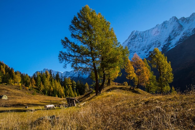 Paisaje de los Alpes suizos en otoño