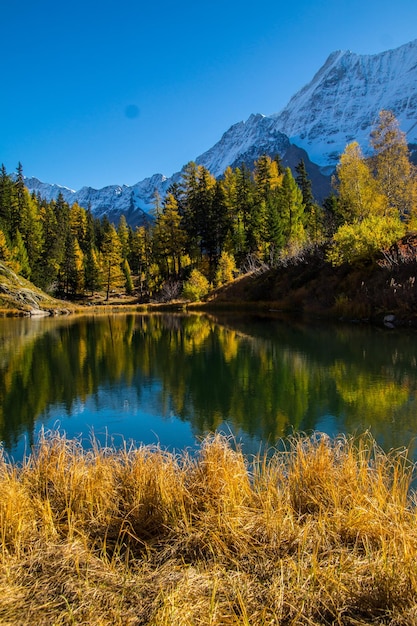 Paisaje de los Alpes suizos en otoño