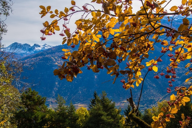 Paisaje de los alpes suizos en otoño