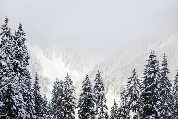 Foto paisaje de los alpes suizos