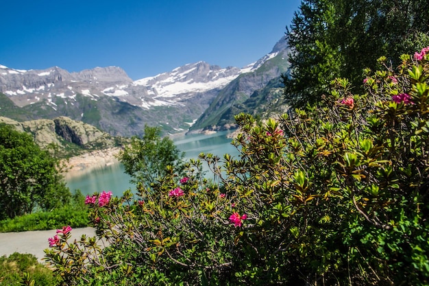 Paisaje de los Alpes suizos