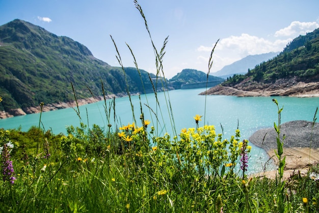 Paisaje de los Alpes suizos