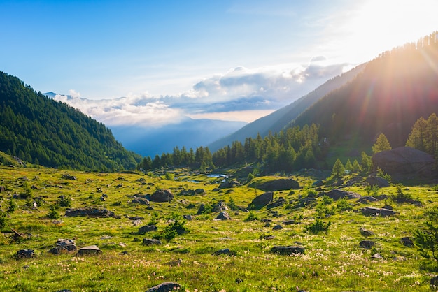 Paisaje alpino, arroyo de montaña en un entorno idílico en medio de rocas, prados y bosques. Sunburst al amanecer, los Alpes italianos.