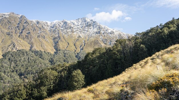 Foto paisaje alpino de otoño con exótico bosque denso y montañas nevadas que se elevan por encima de él nueva zelanda