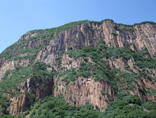 paisaje alpino en verano