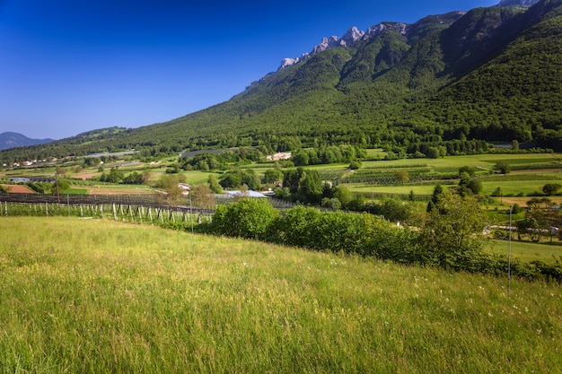 Foto paisaje alpino verde en trento