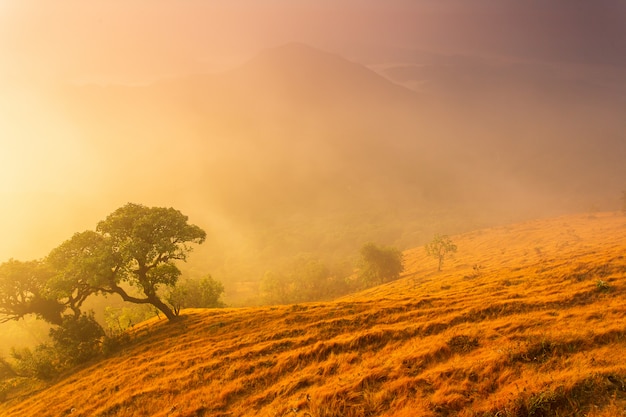 Paisaje de alta montaña con puesta de sol.