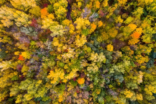 Paisaje desde una altura.