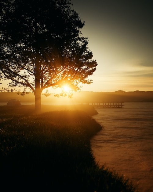 Un paisaje de amanecer con un árbol al fondo.