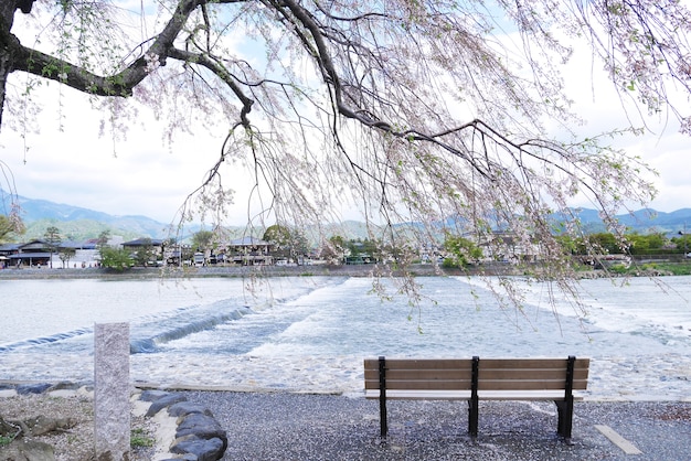 Paisaje de Arashiyama en Kyoto, Japón