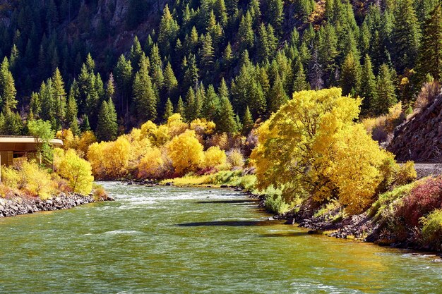 Paisaje con árboles de otoño y río.