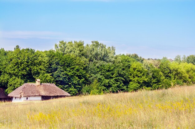 Paisaje de arcilla y cabaña de madera con techo de paja ucraniano