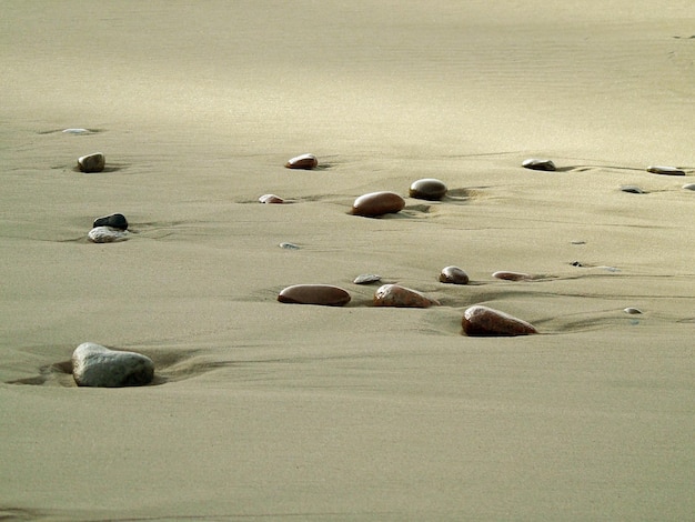 Un paisaje de arena marrón gris en la playa y piedras mojadas con rastros de olas marinas