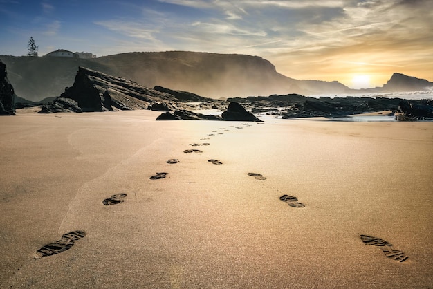 Paisaje de arena de playa con líneas hechas por huellas hacia el solxDxA