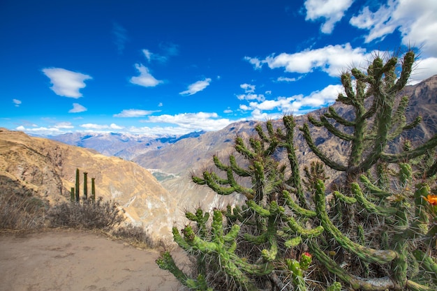 El paisaje de Arequipa, Perú