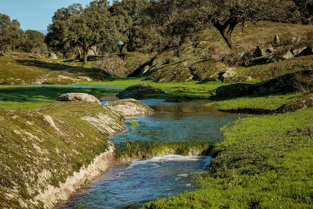 Foto paisaje con arroyo en la dehesa de la luz. extremadura. españa.