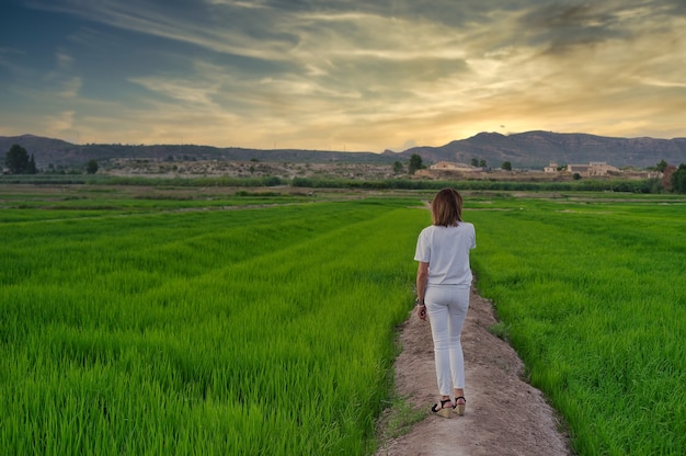 Foto paisaje de arrozales en calasparra murcia