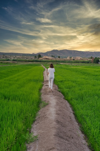 paisaje de arrozales en calasparra murcia