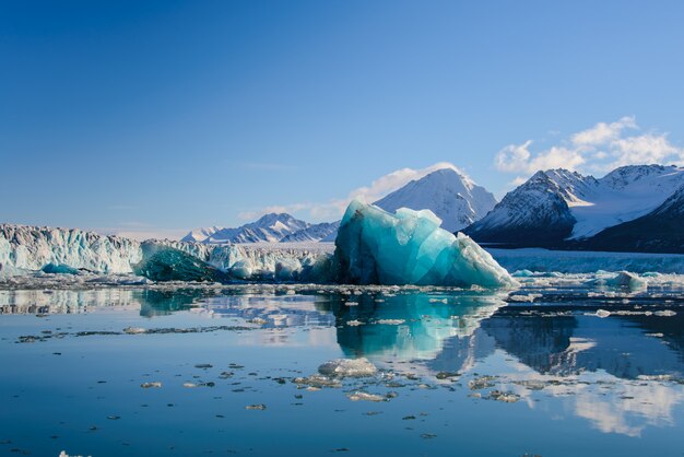 Paisaje ártico glaciar