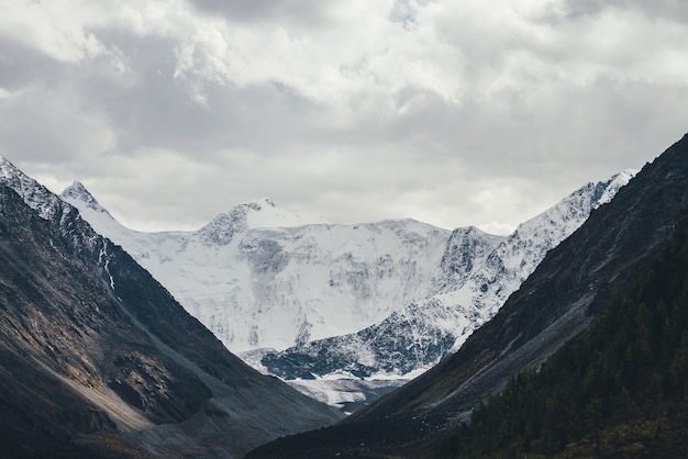 Paisaje atmosférico con grandes montañas nevadas bajo un cielo nublado. Espectacular paisaje con árboles en la colina entre rocas bajo el sol con vistas a la pared de la montaña nevada con glaciar en el valle en la luz del sol.