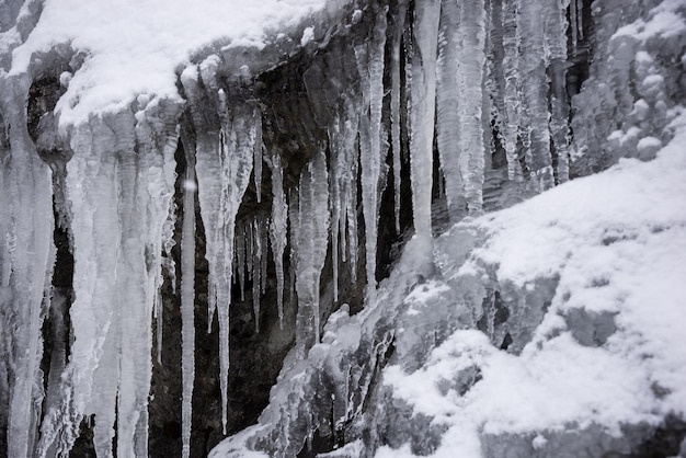 Paisaje blanco de invierno con árboles cubiertos de nieve