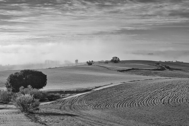 Foto paisaje en blanco y negro de campos de cultivo en batres, españa