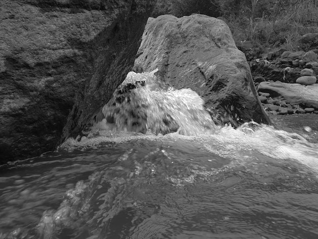 Paisaje blanco y negro de cascada en el bosque tropical fondo hermosa naturaleza