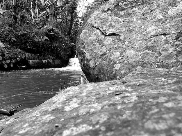 Paisaje en blanco y negro de la textura de la pared de piedra en el fondo del río