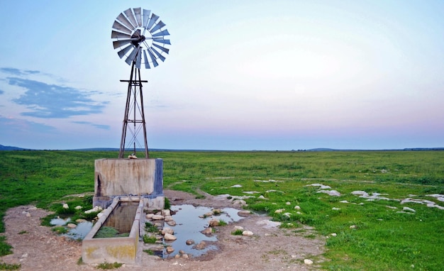 Paisaje con una bomba de agua de molino de viento en tierras de cultivo al amanecer.