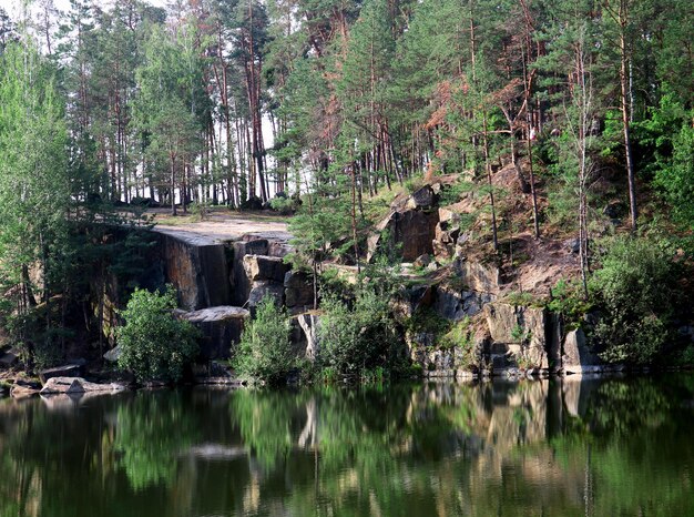 Paisaje bonito con lago