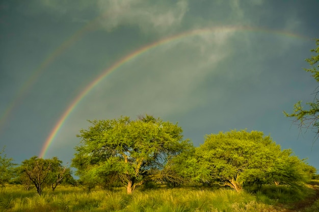 Paisaje boscoso con arco iris Pampa Argentina