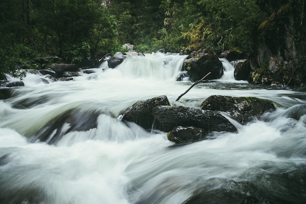 Paisaje de bosque atmosférico con rápidos en un poderoso río de montaña entre rocas con musgos, árboles y vegetación salvaje. Grandes rocas cubiertas de musgo en corriente de agua turbulenta de energía borrosa en el río de la montaña.