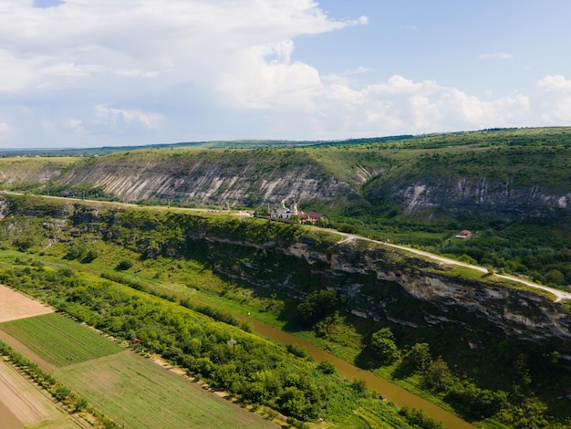 Paisaje con bosque de cañones y un río al frente.