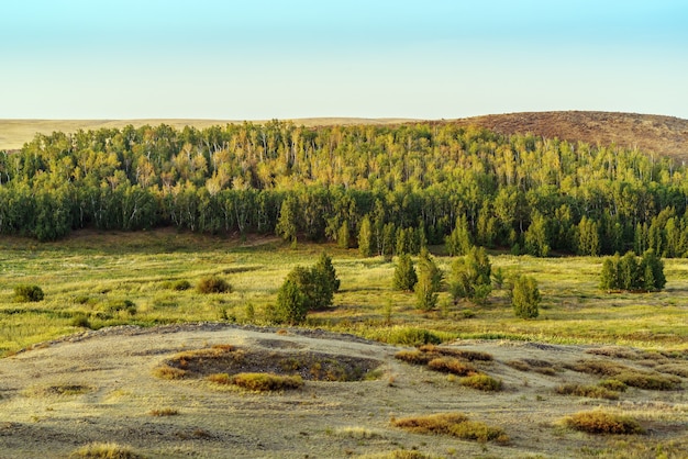 Paisaje de bosque-estepa de verano por la mañana. Foto tomada cerca del pueblo de Arkaim, Rusia