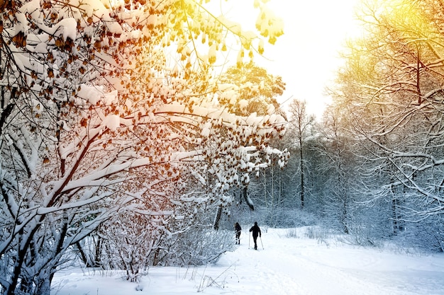 Paisaje de bosque de invierno con gente de esquí.