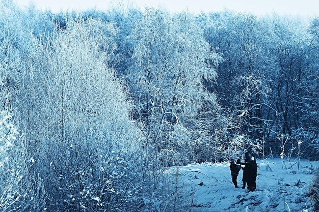 paisaje bosque de invierno, hermosa vista estacional en bosque nevado diciembre naturaleza