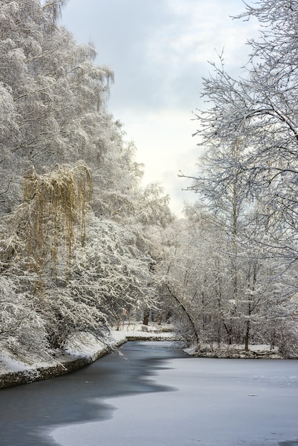 Paisaje de bosque de invierno. Árboles bajo una gruesa capa de nieve. Rusia, Moscú, parque Sokolniki