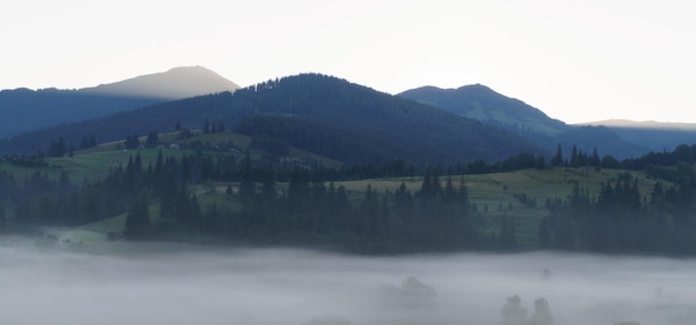 Paisaje de bosque de montaña brumosa por la mañana