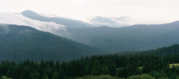 Paisaje de bosque de montaña brumosa por la mañana