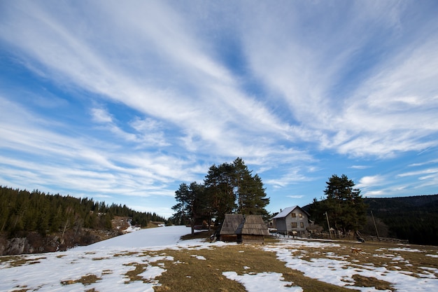 Paisaje de bosque nevado de invierno