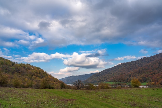 Paisaje de bosque otoñal en las montañas