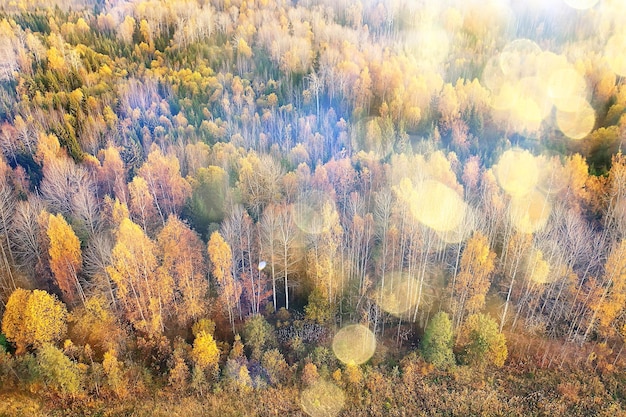 Paisaje de bosque otoñal, vista desde un dron, fotografía aérea vista desde arriba en el parque de octubre