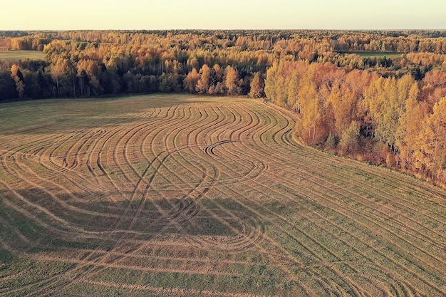 Paisaje de bosque otoñal, vista desde un dron, fotografía aérea vista desde arriba en el parque de octubre