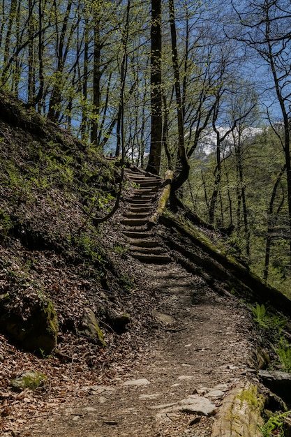 Paisaje con bosque de primavera en las montañas del Cáucaso. Escalera al cielo.