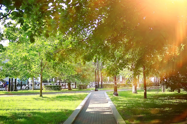 paisaje de bosque de verano